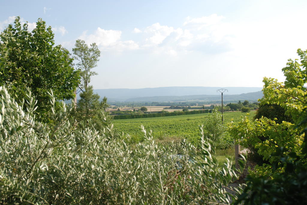ז'וקה Vilajoun מראה חיצוני תמונה